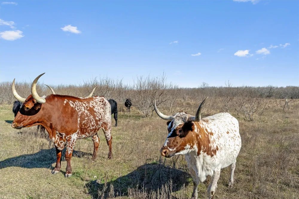 Rolling Ridge Road Lockhart, TX 78644
