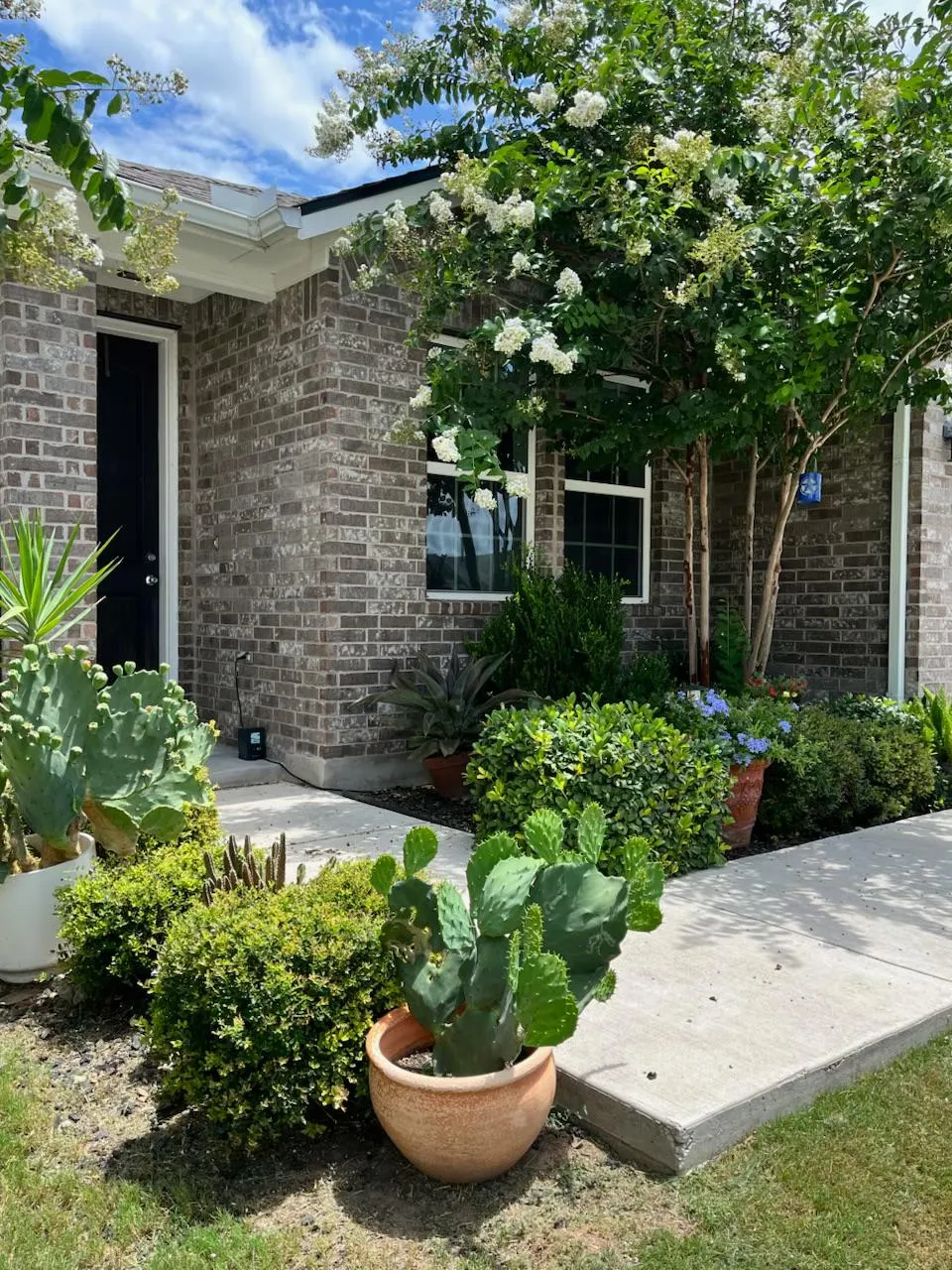 117 Lacey Oak Loop San Marcos, TX 78666