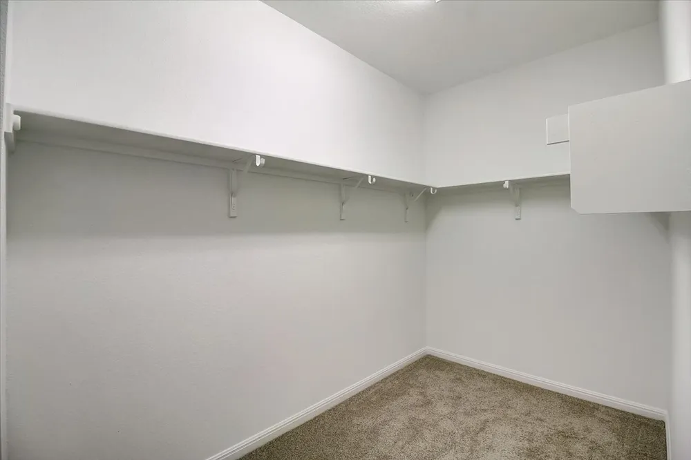 117 Lacey Oak Loop San Marcos, TX 78666