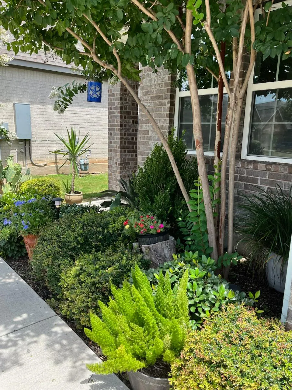 117 Lacey Oak Loop San Marcos, TX 78666