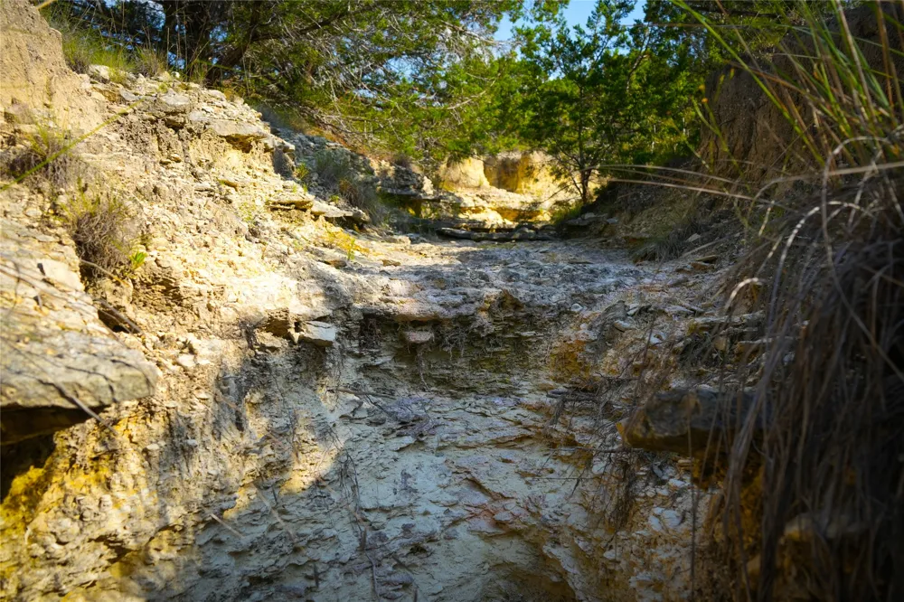 95 Big Sky Blanco, TX 78606