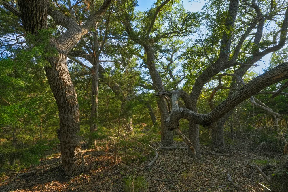 95 Big Sky Blanco, TX 78606