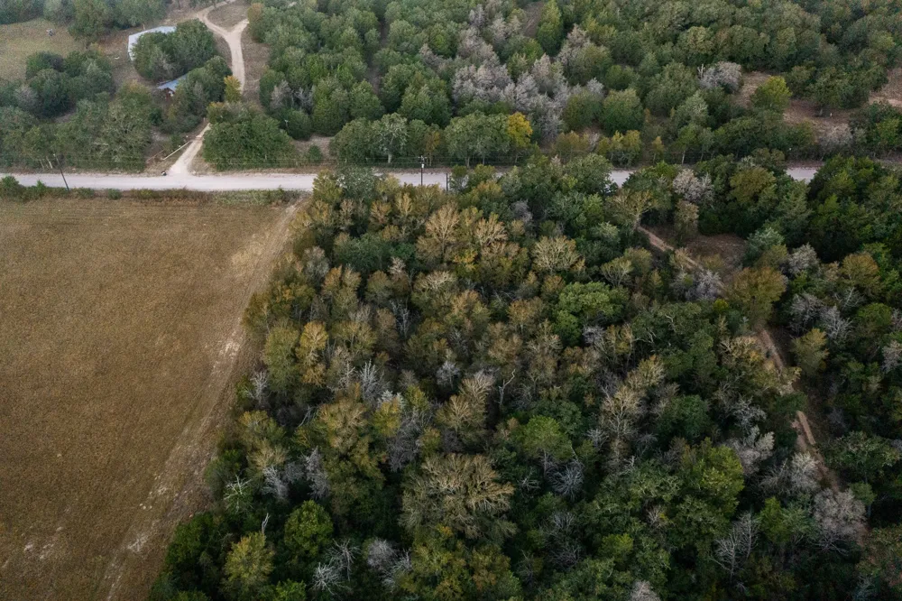 St Delight Road Paige, TX 78659