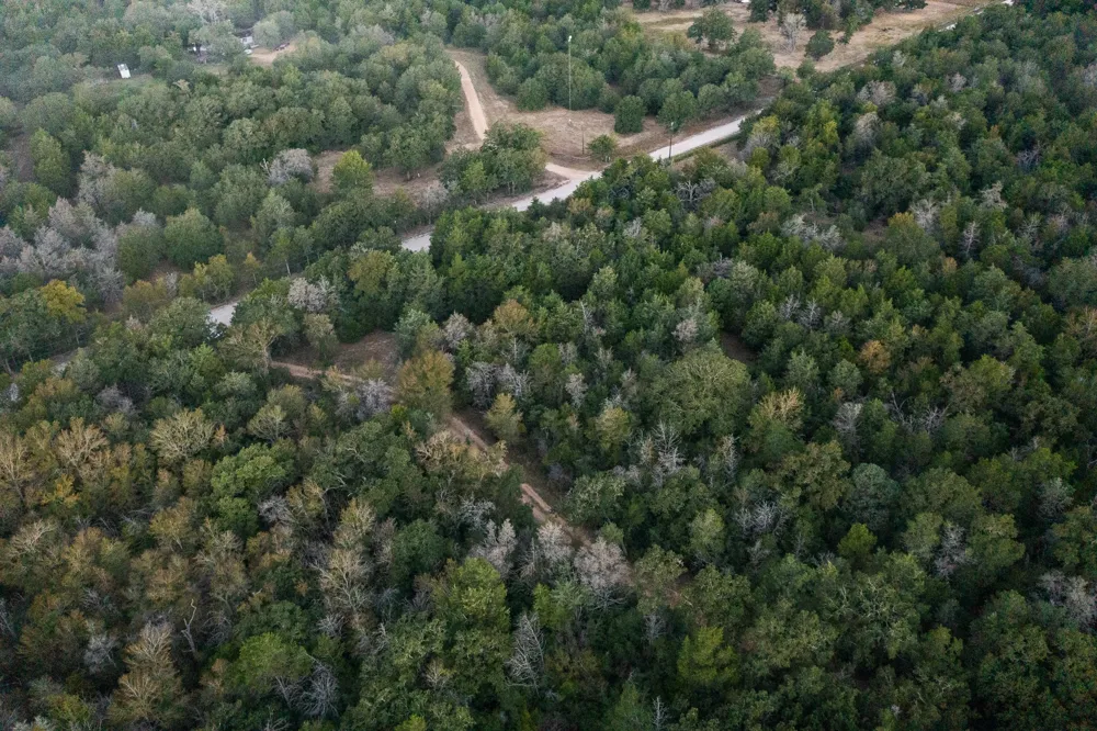 St Delight Road Paige, TX 78659