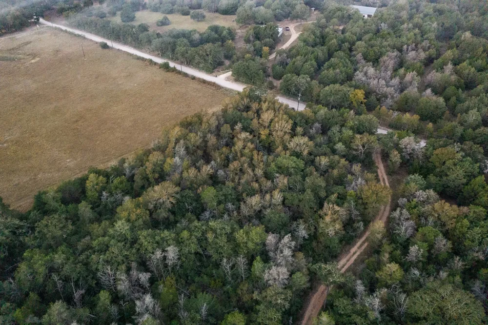 St Delight Road Paige, TX 78659