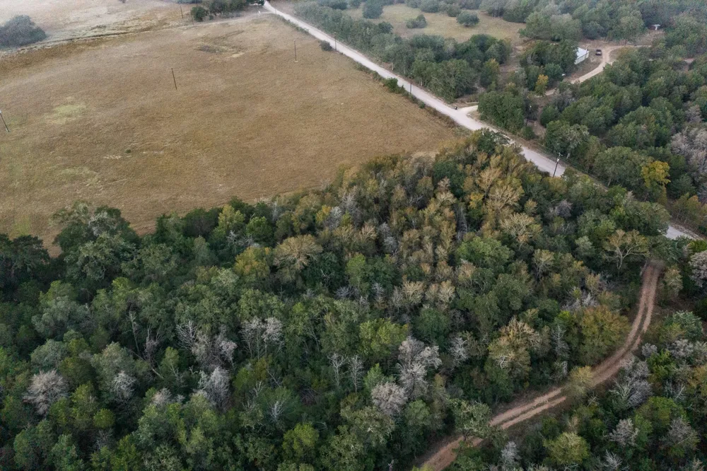 St Delight Road Paige, TX 78659