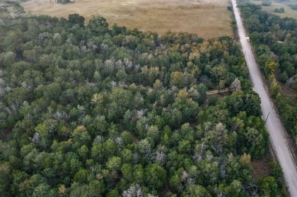 St Delight Road Paige, TX 78659