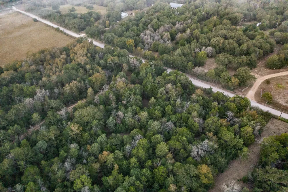 St Delight Road Paige, TX 78659