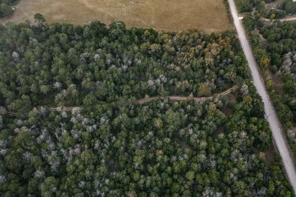 St Delight Road Paige, TX 78659