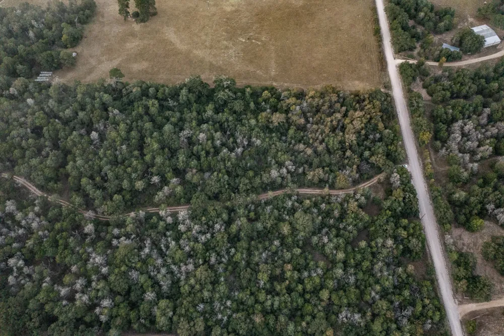 St Delight Road Paige, TX 78659
