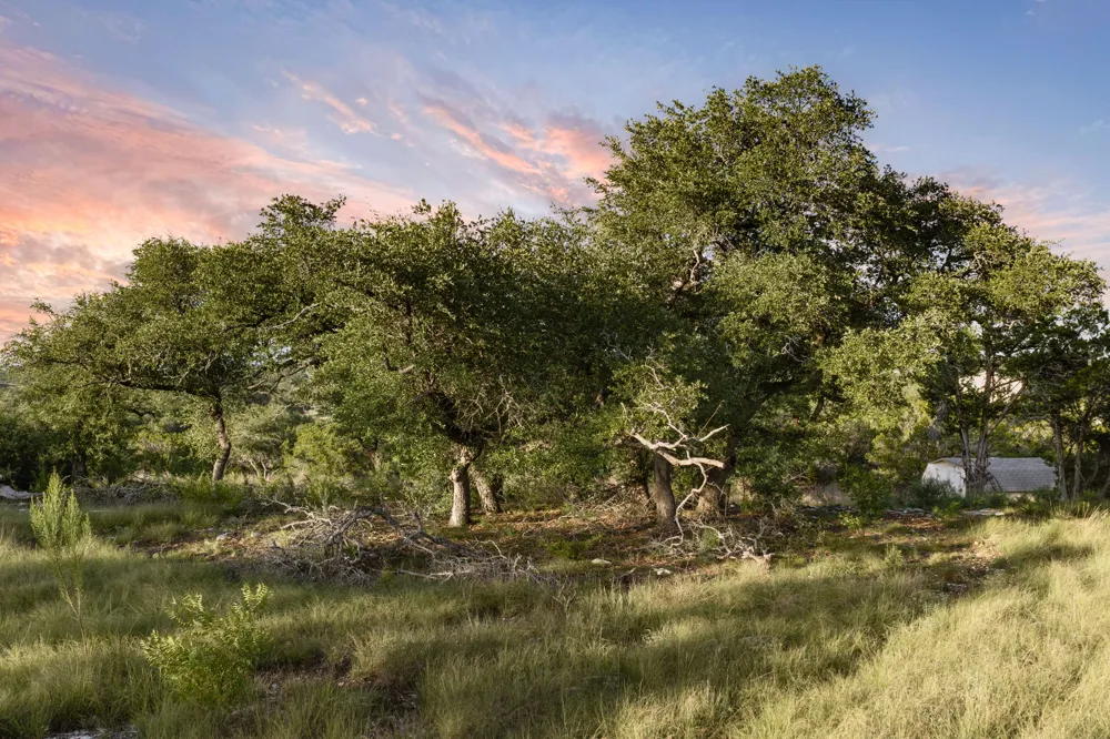 5601 W Fitzhugh Road Dripping Springs, TX 78620