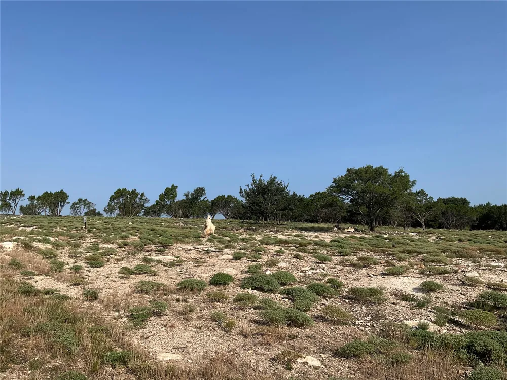 Address Not Shown San Saba, TX 76877