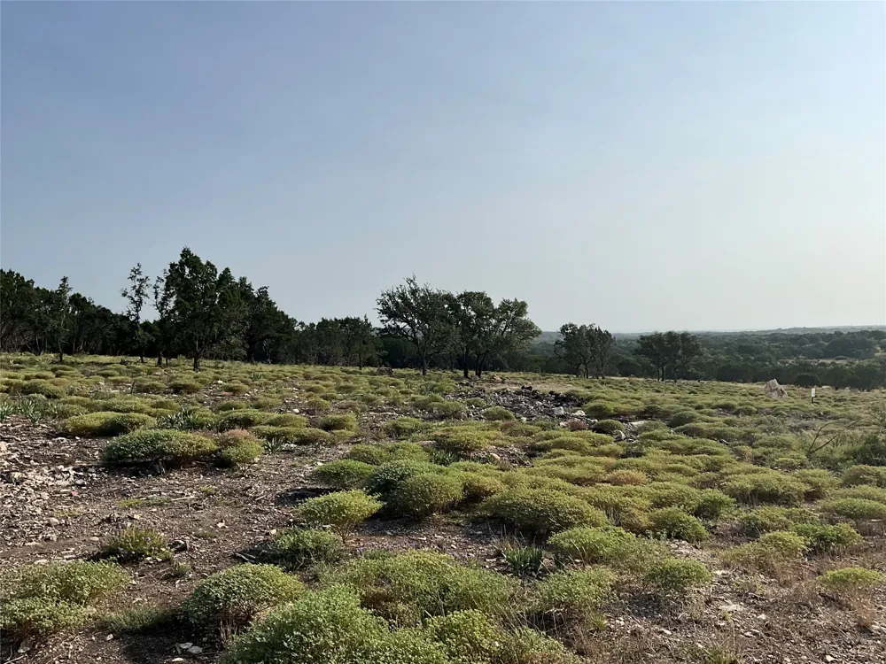 Address Not Shown San Saba, TX 76877