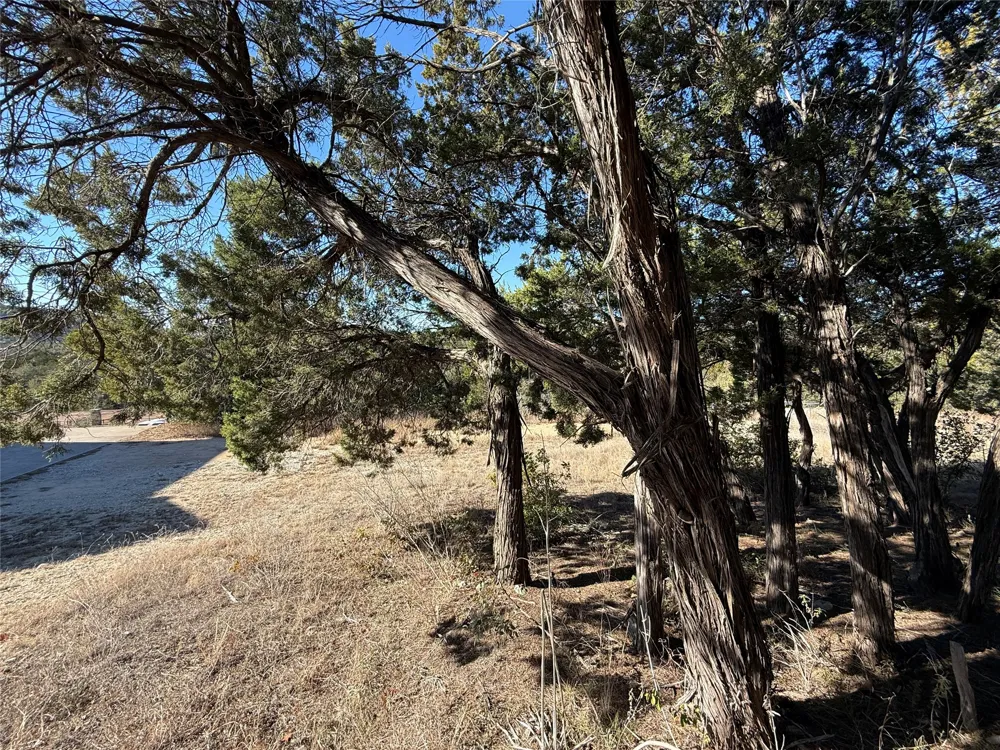 14410 Geronimo Leander, TX 78641