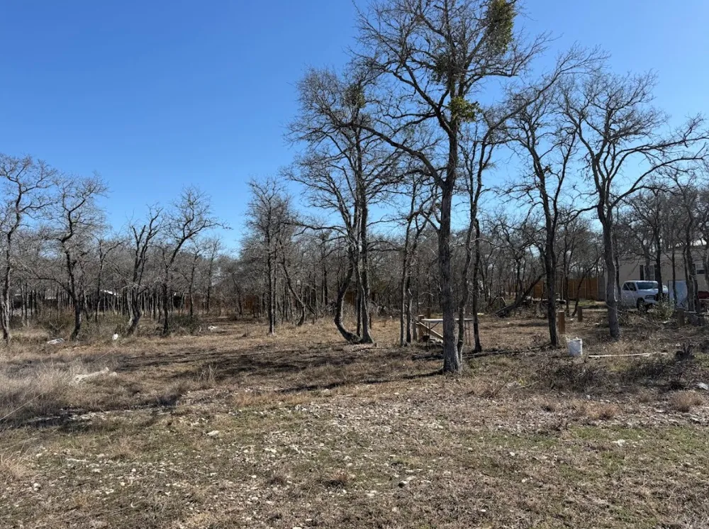 121 Pink Dahlia Drive Dale, TX 78616