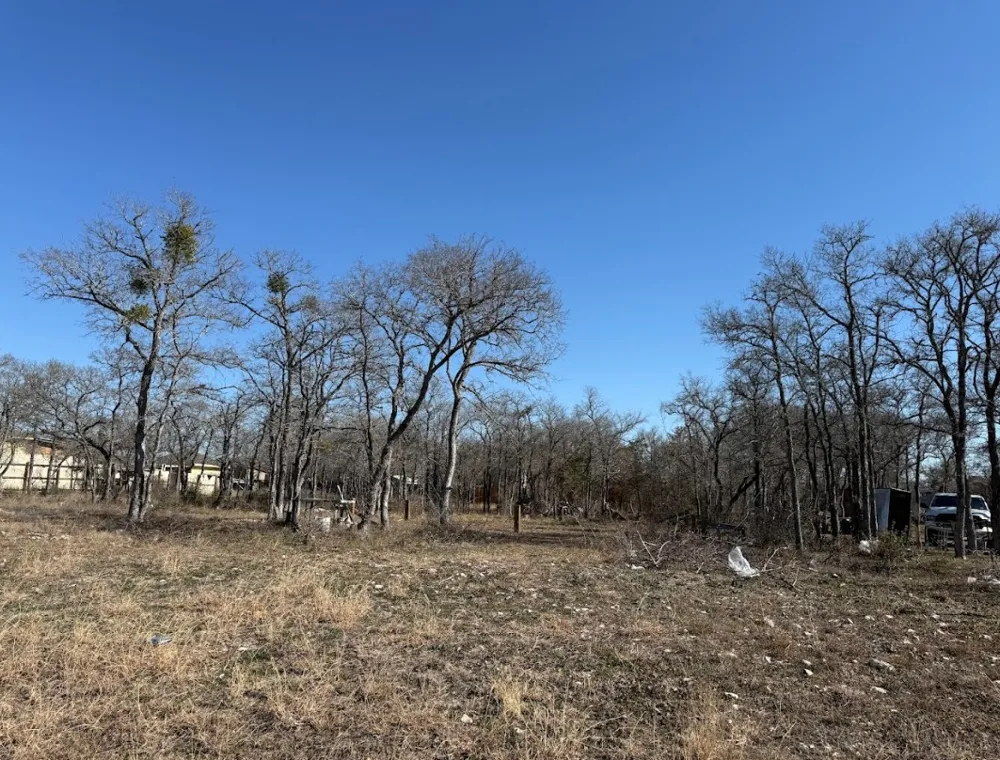121 Pink Dahlia Drive Dale, TX 78616