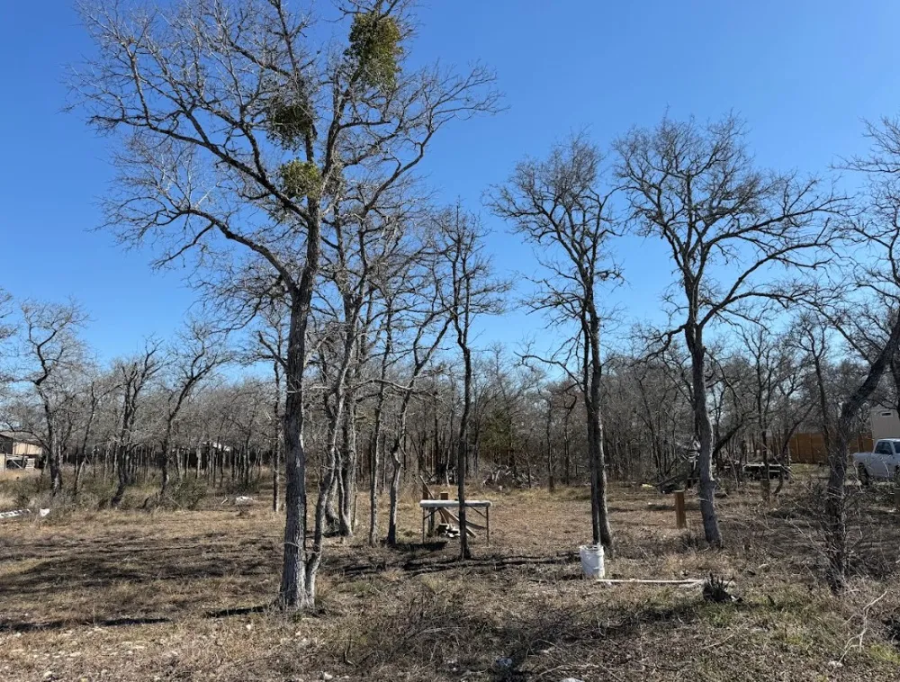 121 Pink Dahlia Drive Dale, TX 78616