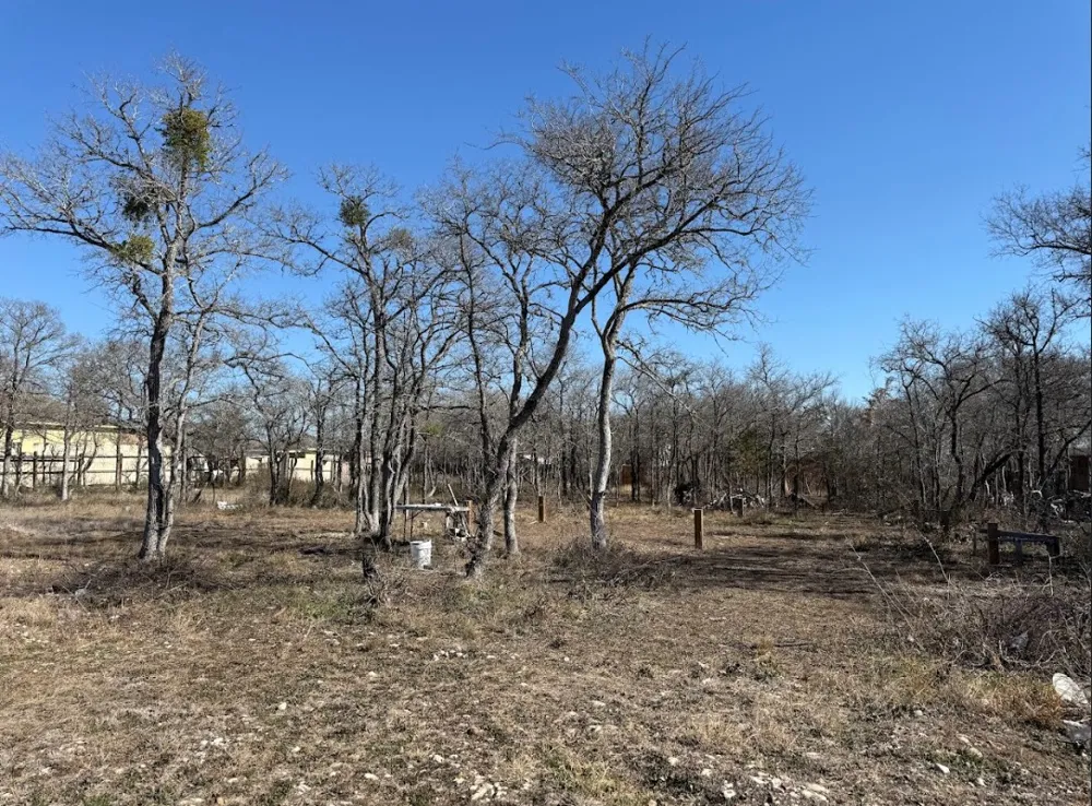 121 Pink Dahlia Drive Dale, TX 78616