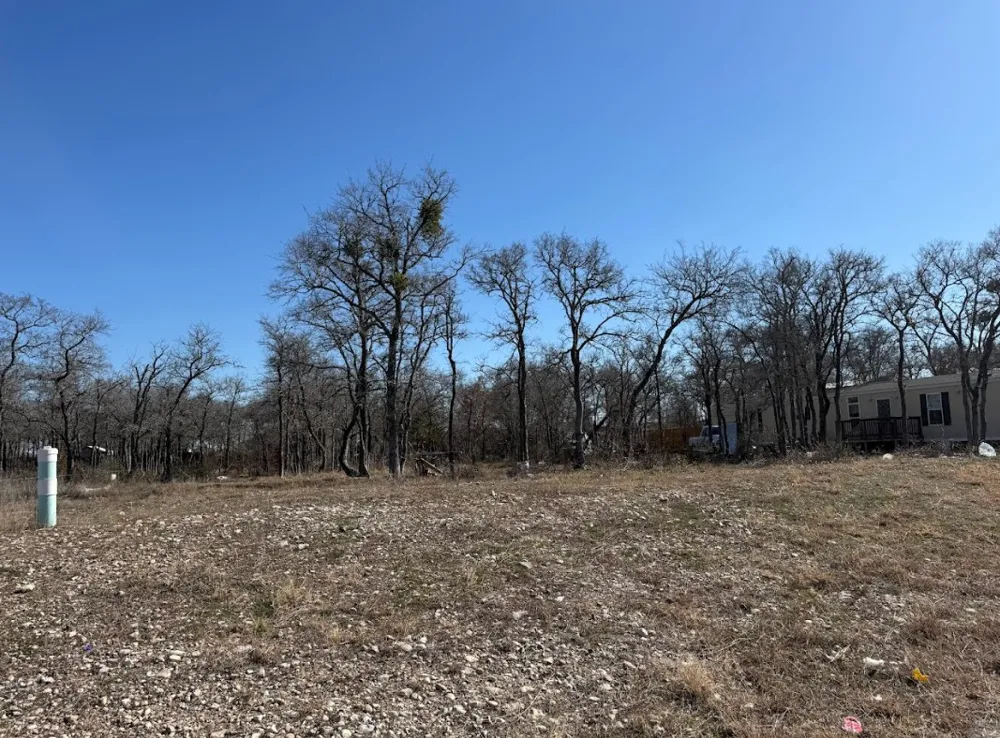 121 Pink Dahlia Drive Dale, TX 78616
