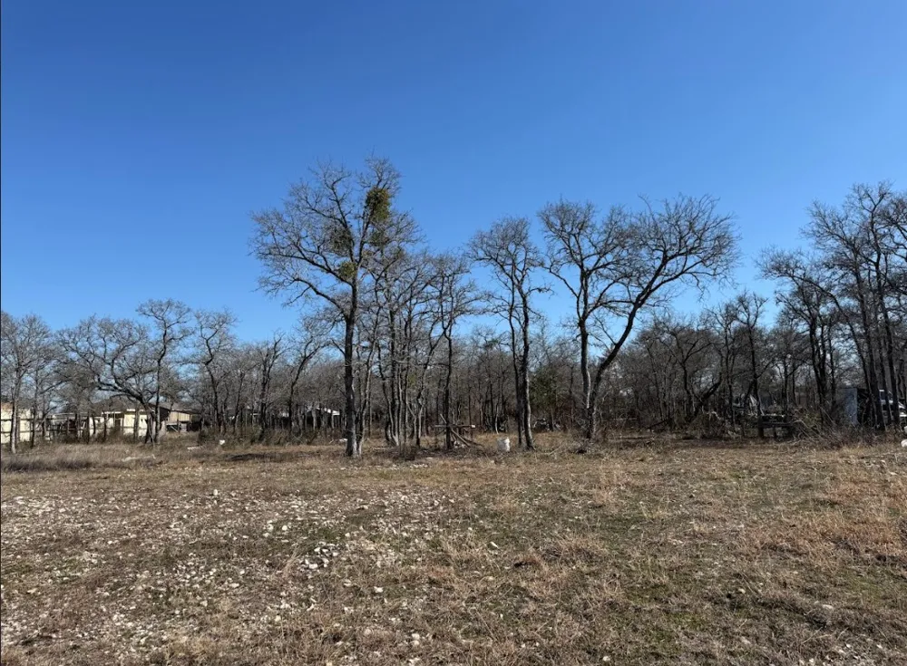 121 Pink Dahlia Drive Dale, TX 78616
