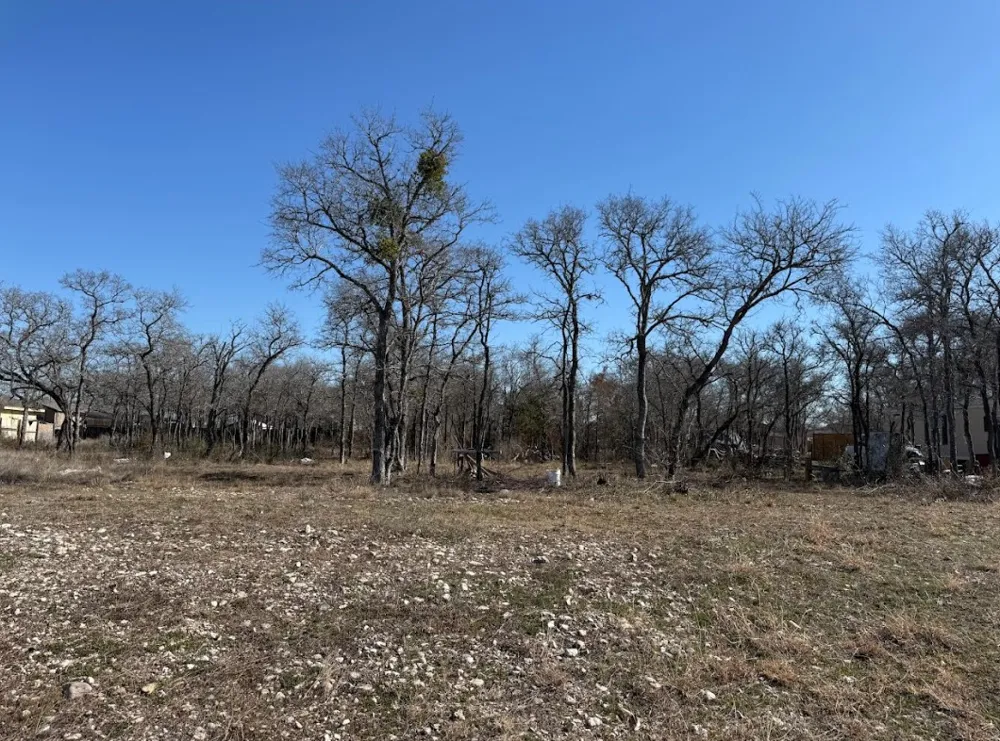 121 Pink Dahlia Drive Dale, TX 78616