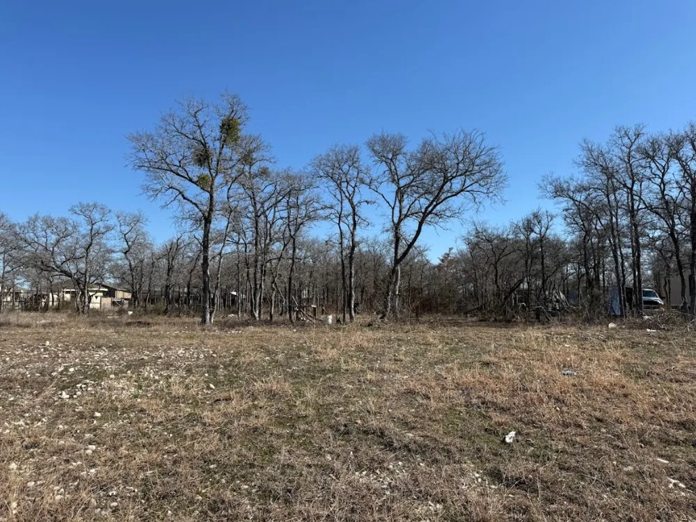 121 Pink Dahlia Drive Dale, TX 78616