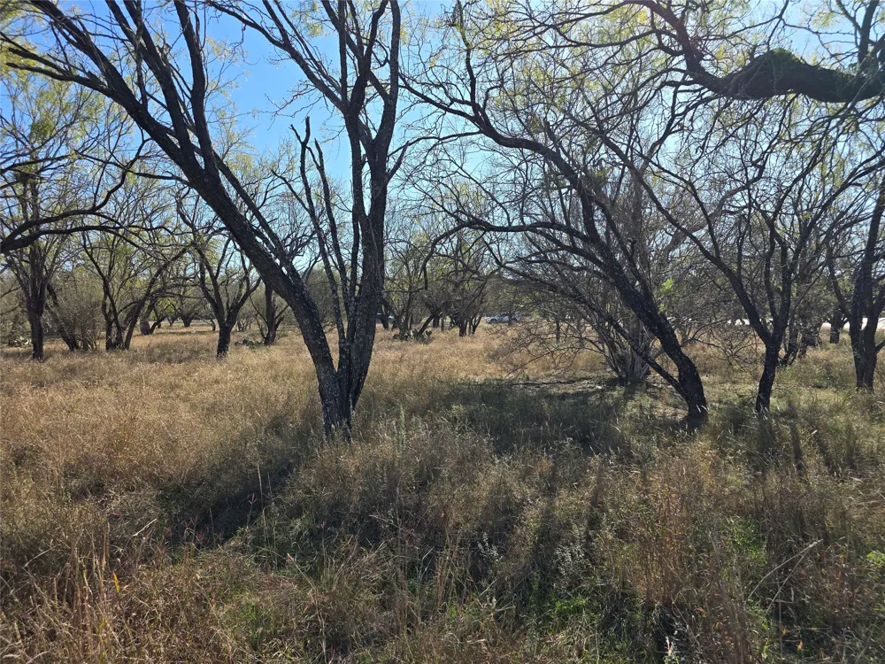 101 Springfield Drive Horseshoe Bay, TX 78657
