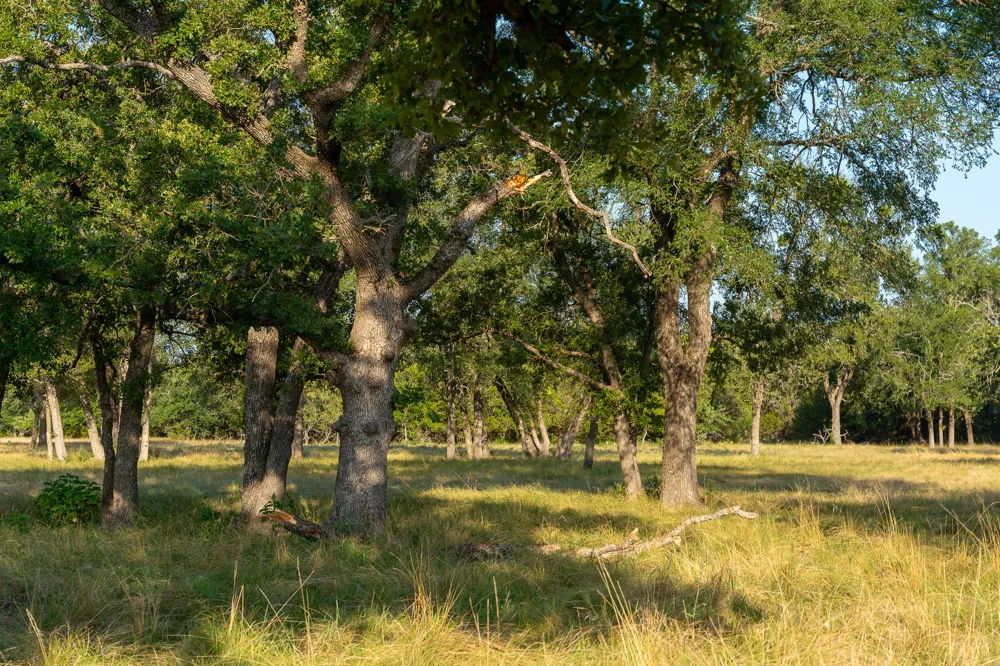 1702 County Road 2800 Lometa, TX 76853