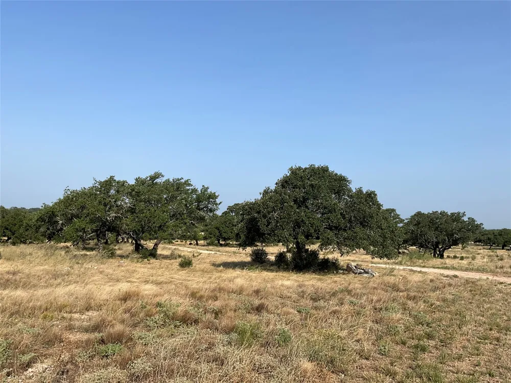 Address Not Shown San Saba, TX 76877