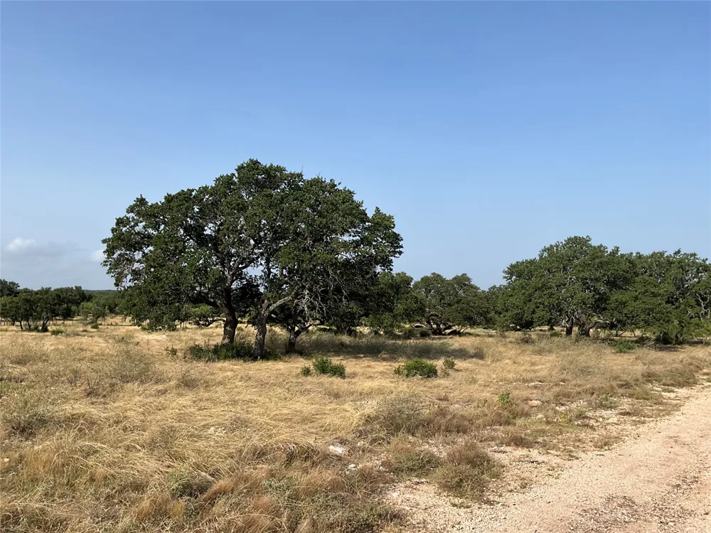 Address Not Shown San Saba, TX 76877