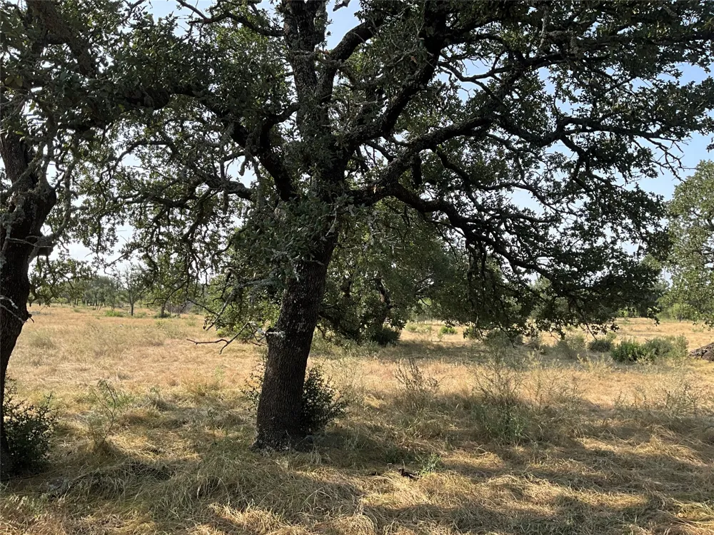 Address Not Shown San Saba, TX 76877
