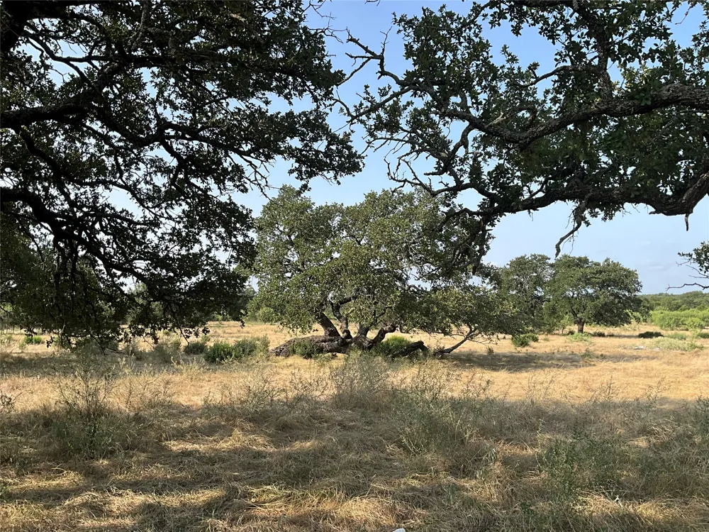 Address Not Shown San Saba, TX 76877