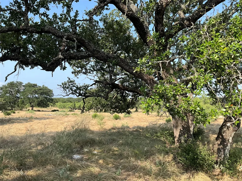 Address Not Shown San Saba, TX 76877