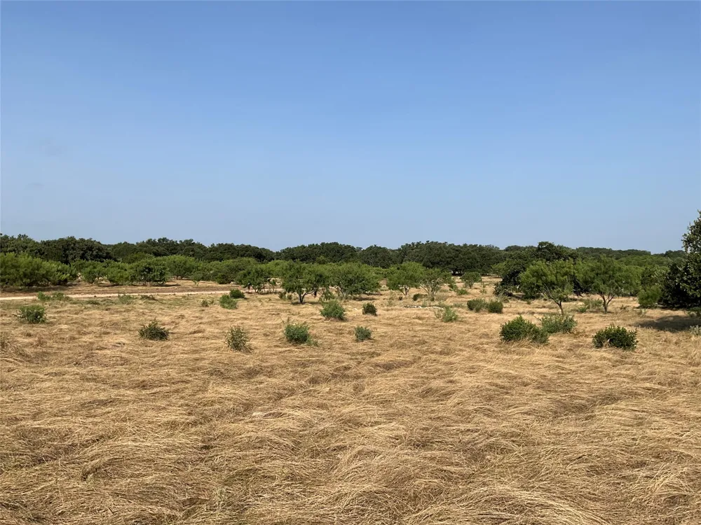 Address Not Shown San Saba, TX 76877