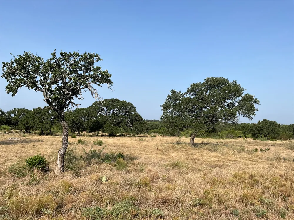 Address Not Shown San Saba, TX 76877