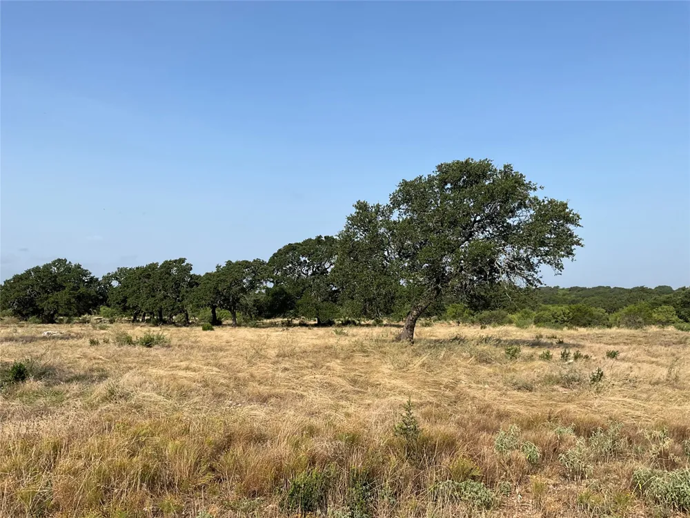 Address Not Shown San Saba, TX 76877
