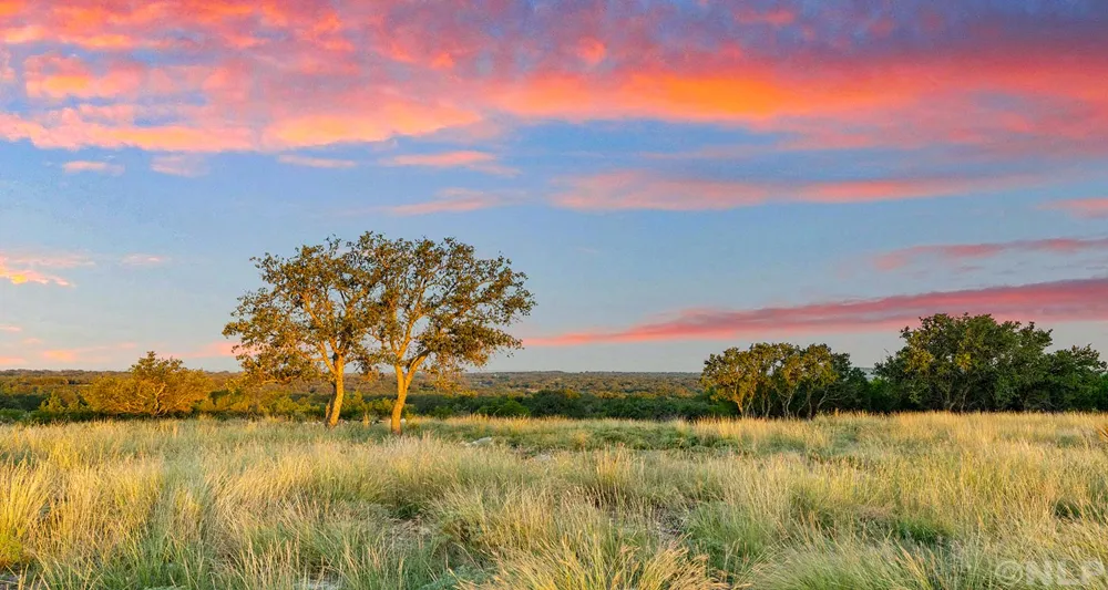 Address Not Shown San Saba, TX 76877