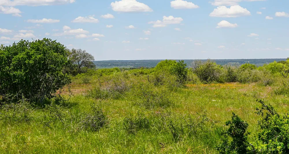 Address Not Shown San Saba, TX 76877