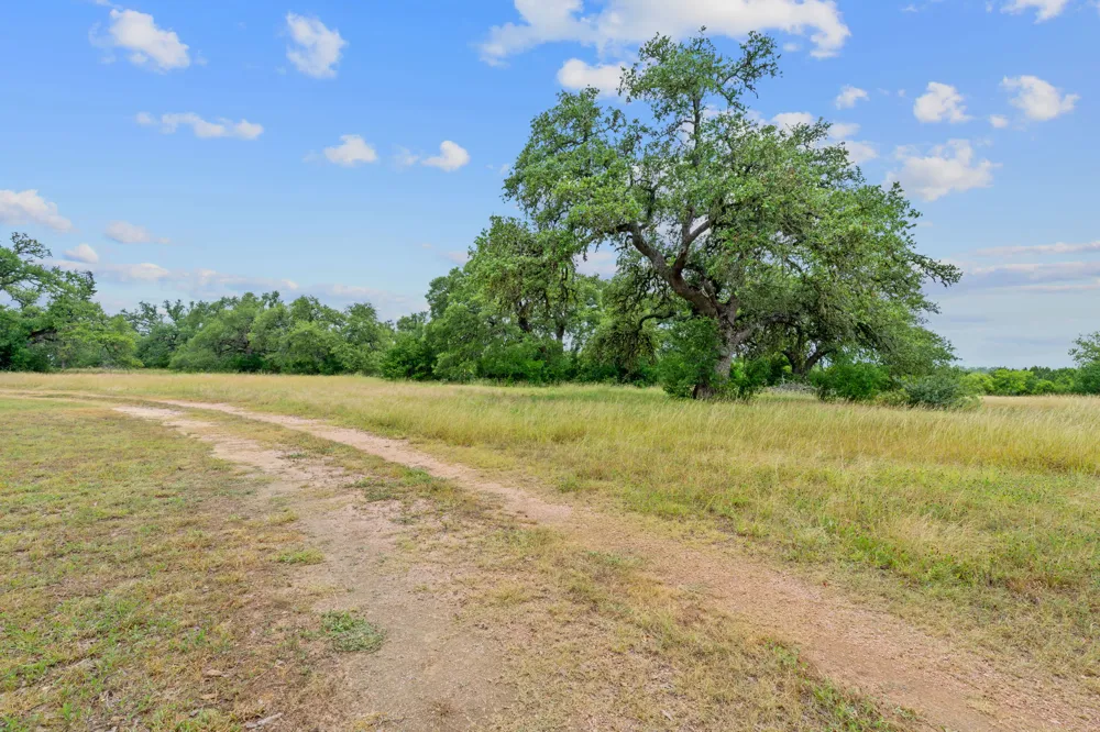 3468 Elder Hill Road Dripping Springs, TX 78619