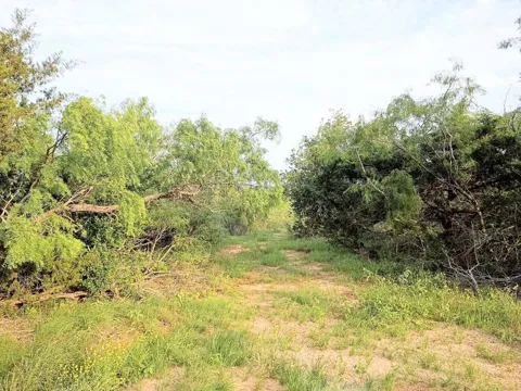 Mesquite Drive