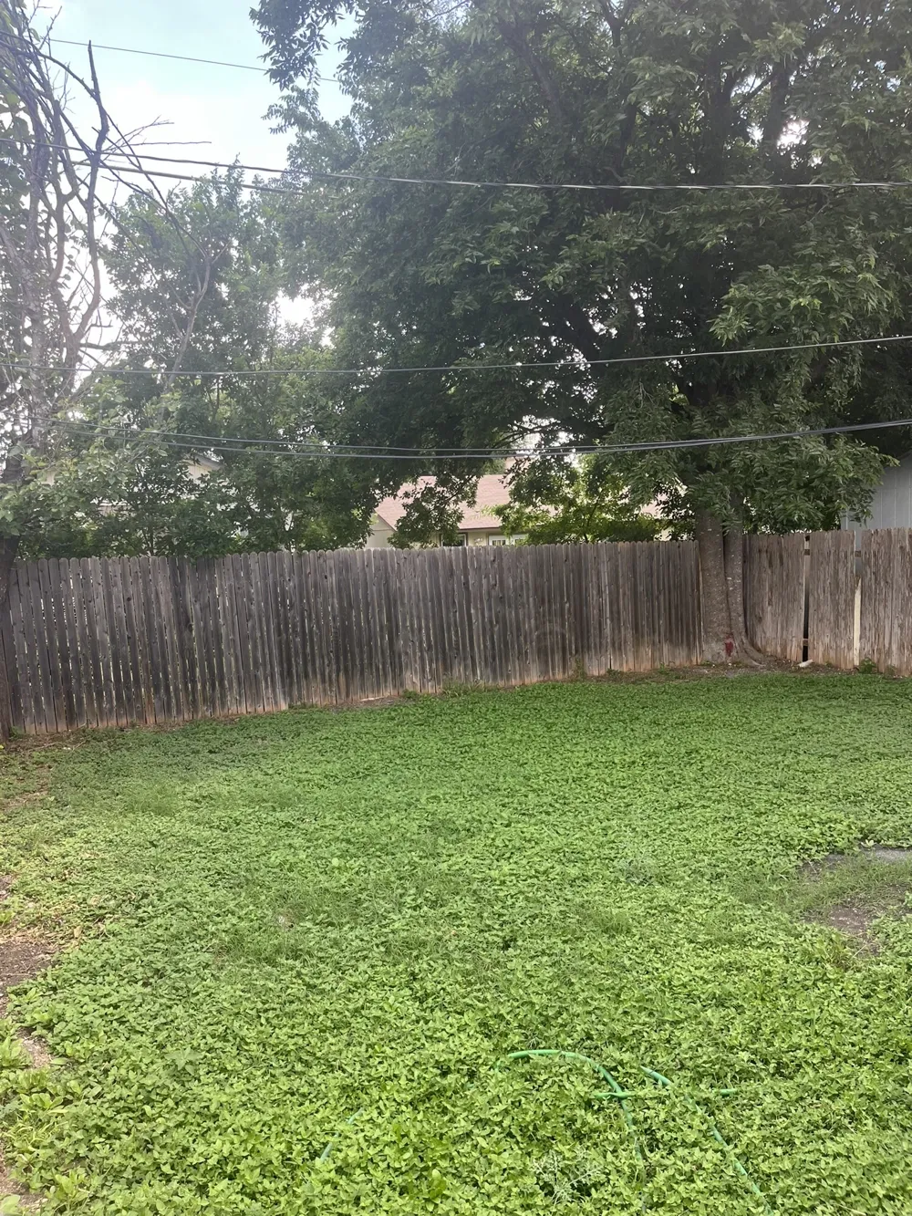 16124 Fitchburg Circle Pflugerville, TX 78660