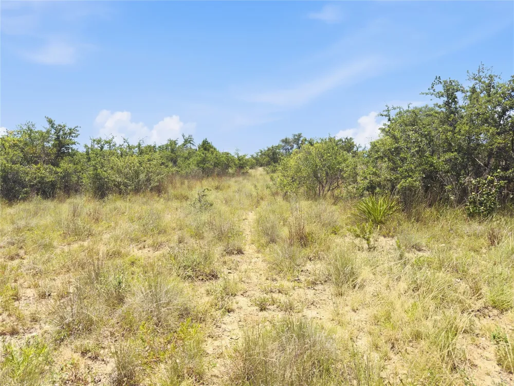 963 Summit Ridge Trail Drive Johnson City, TX 78636