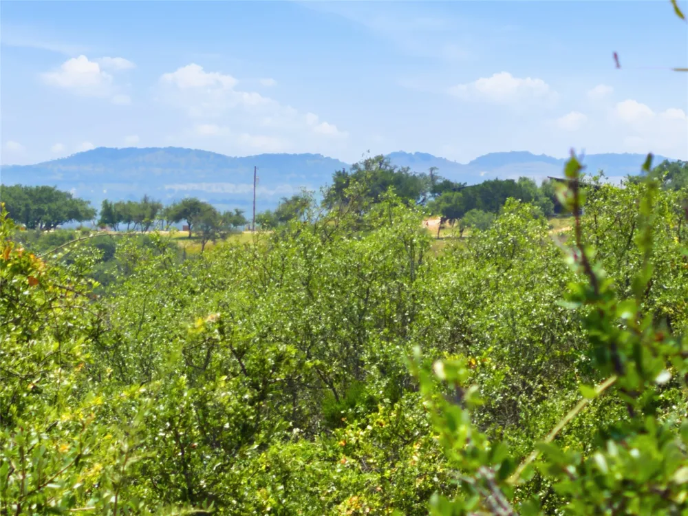 963 Summit Ridge Trail Drive Johnson City, TX 78636