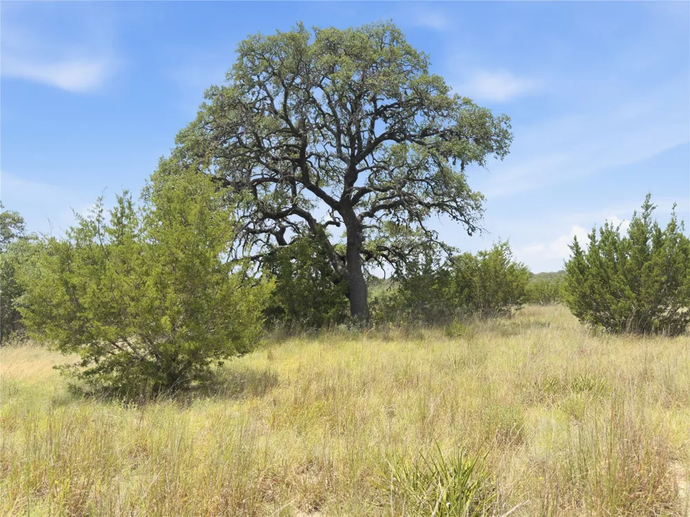 963 Summit Ridge Trail Drive Johnson City, TX 78636