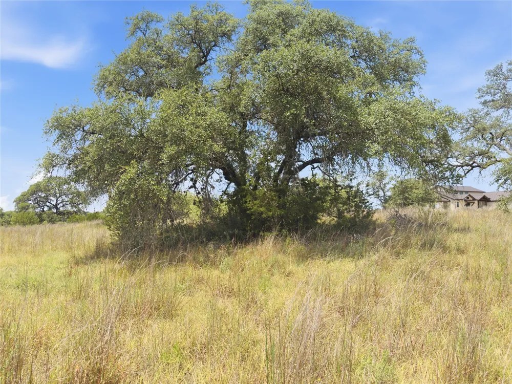 963 Summit Ridge Trail Drive Johnson City, TX 78636