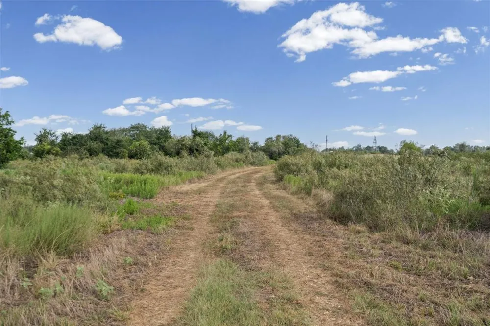 1265 County Road 410 Lexington, TX 78947