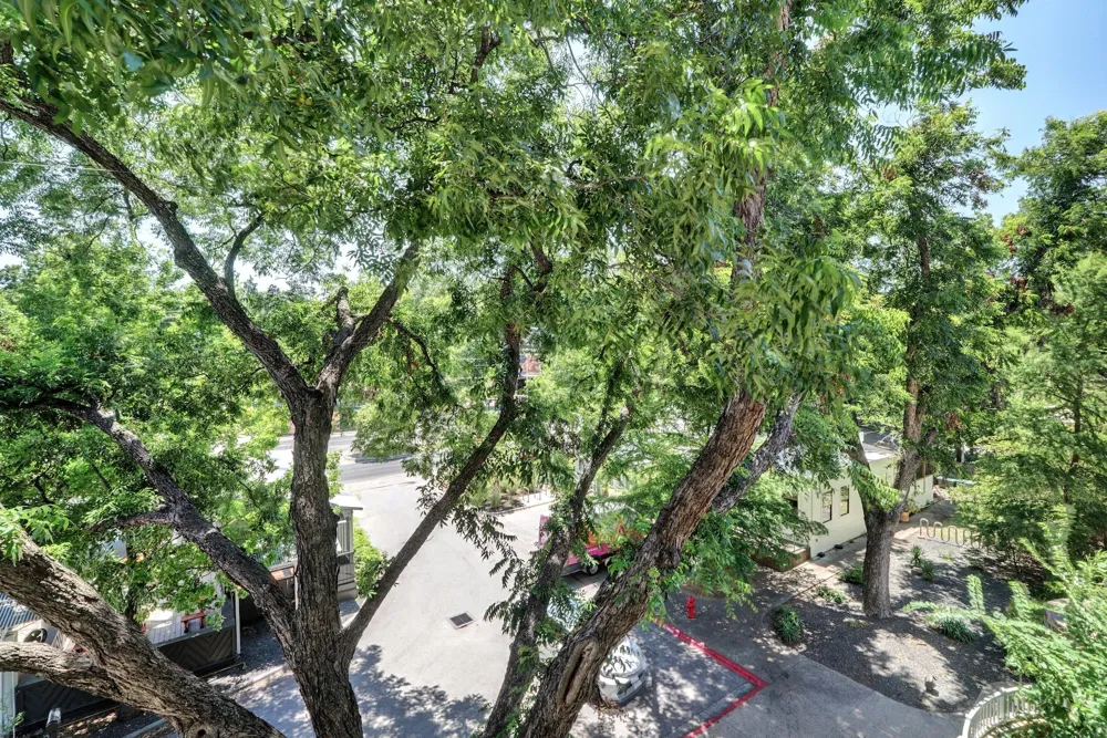 1600 Barton Springs Road #6306 Austin, TX 78704