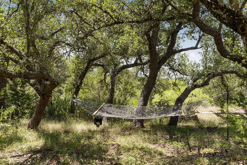 2591 Spring Valley Drive Dripping Springs, TX 78620