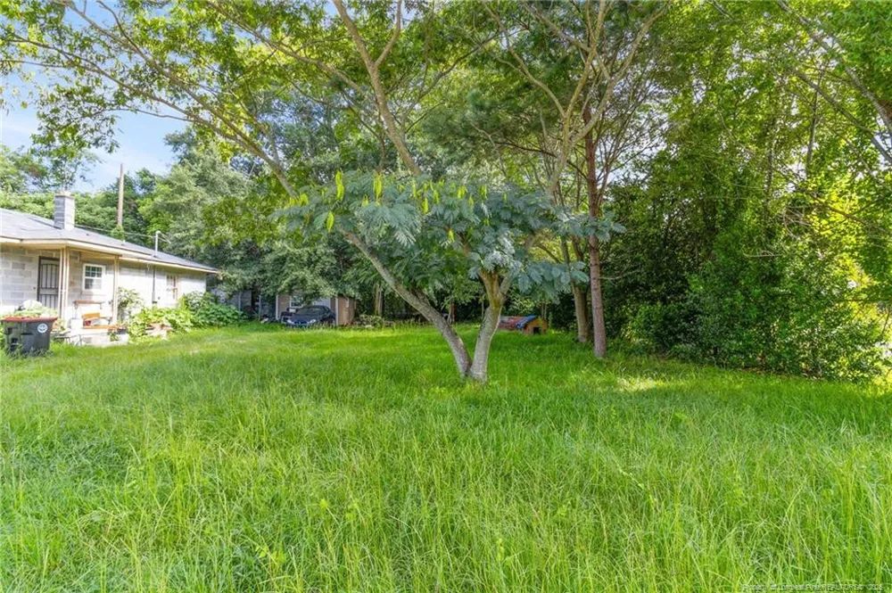 223 6th Avenue E Red Springs, NC 28377