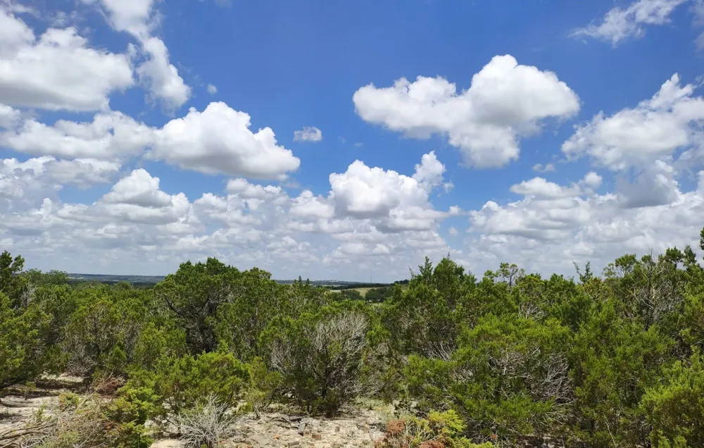131 Spur 440 Florence, TX 76527